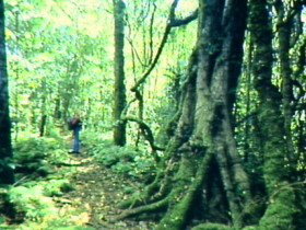 Mt Superbus - Gold Coast Attractions 0