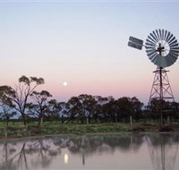 Moorrinya National Park - Gold Coast Attractions