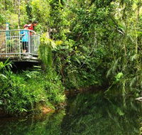 Djiru National Park - Gold Coast Attractions
