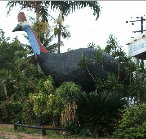 The Big Cassowary - Gold Coast Attractions