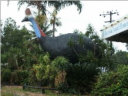 The Big Cassowary - Gold Coast Attractions 0