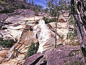 Emerald Creek Falls - Gold Coast Attractions 0