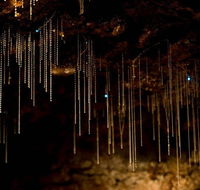 Cedar Creek Estate - Gold Coast Attractions