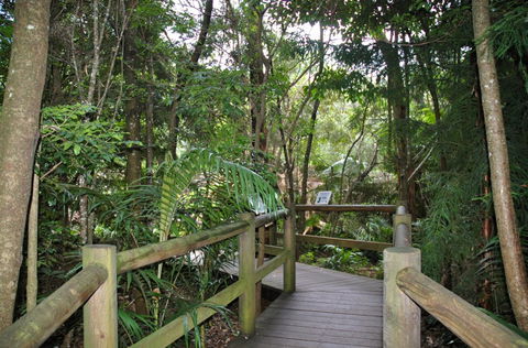 Cedar Creek Estate - Gold Coast Attractions 1