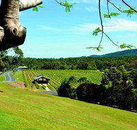 Sirromet Winery - Gold Coast Attractions