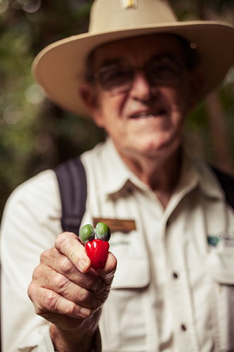 Tondoon Botanic Gardens - Gold Coast Attractions 1