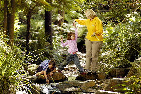 Tondoon Botanic Gardens - Gold Coast Attractions 2