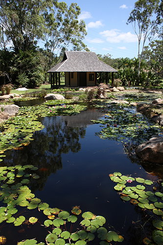 Tondoon Botanic Gardens - Gold Coast Attractions 8