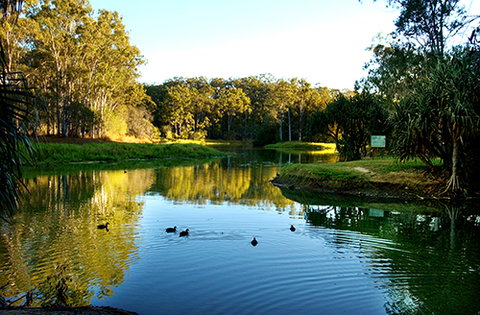Tondoon Botanic Gardens - Gold Coast Attractions 9
