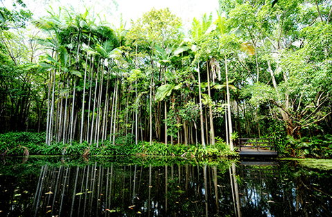 Tondoon Botanic Gardens - Gold Coast Attractions 11