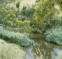 Yarrambat Park - Gold Coast Attractions