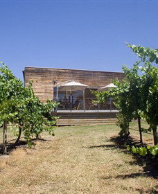 Shantell Vineyard - Gold Coast Attractions 0