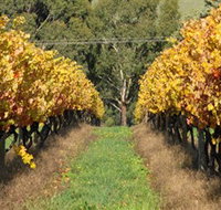 Wild Dog Winery  Restaurant - Gold Coast Attractions