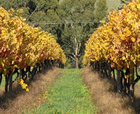 Wild Dog Winery & Restaurant - Gold Coast Attractions 0