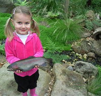 Wild Food Farm  Cafe - Gold Coast Attractions