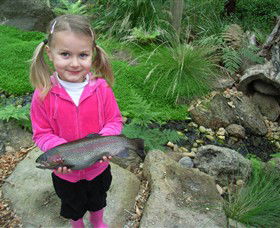 Wild Food Farm & Cafe - Gold Coast Attractions 0