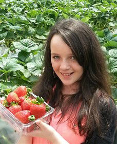 Yarra Valley Gateway Estate - Gold Coast Attractions 0