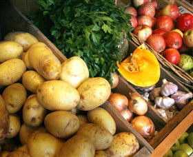 Goldie VIC Gold Coast Attractions