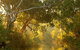 Brimbank Park - thumb 0