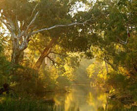 Brimbank Park - Gold Coast Attractions 0