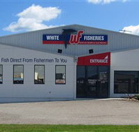 White Fisheries - Gold Coast Attractions
