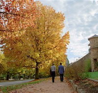 Indigo Gold Trail - Gold Coast Attractions