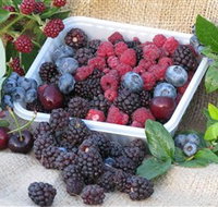 Bright Berry Farms - Gold Coast Attractions