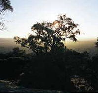 Yarra Flats - Gold Coast Attractions