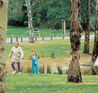 Westerfolds Park - Gold Coast Attractions