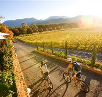 Boyntons Feathertop Winery - Gold Coast Attractions