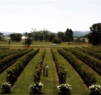 Rochford Wines - Gold Coast Attractions