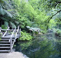 Alfred Nicholas Gardens - Gold Coast Attractions