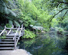 Alfred Nicholas Gardens - Gold Coast Attractions 0