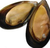 Sea Bounty - Gold Coast Attractions