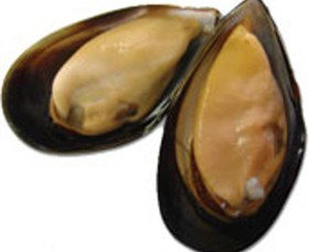 Sea Bounty - Gold Coast Attractions 0