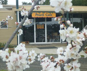 Rayner's Orchard - Gold Coast Attractions 0