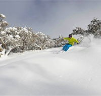 Mt Buller and Mt Stirling Alpine Resort - Gold Coast Attractions