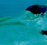 Muse - Gold Coast Attractions