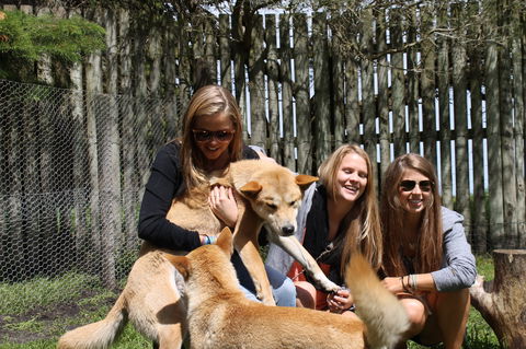 Great Ocean Road Wildlife Park - Gold Coast Attractions 3