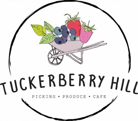 Tuckerberry Hill - Gold Coast Attractions 1