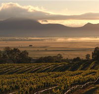 Montara Wines - Gold Coast Attractions