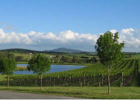 Yarrawood Estate - Gold Coast Attractions 0