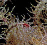 Point Danger Marine Sanctuary - Gold Coast Attractions