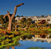 The Minya Vineyard  Winery - Gold Coast Attractions