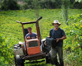 Kellybrook Winery & Kelly Brothers Cider - Gold Coast Attractions 0