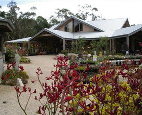 Kuranga Native Nursery And Paperbark Cafe - Gold Coast Attractions 0