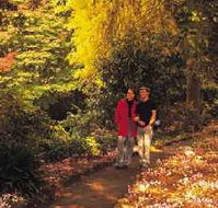 George Tindale Memorial Gardens - Gold Coast Attractions
