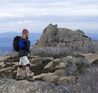 Mount Buffalo National Park - Gold Coast Attractions