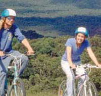 Lysterfield Park - Gold Coast Attractions