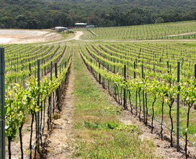 M Chapoutier Australia - Gold Coast Attractions 0